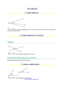 LES ANGLES