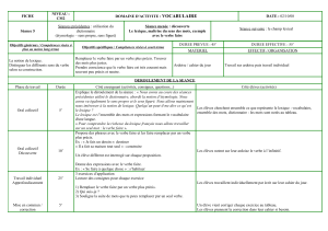 FICHE NIVEAU : CM2 DOMAINE D`ACTIVITE - E