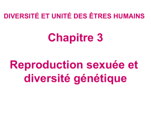 Gnt Chap4 activité1