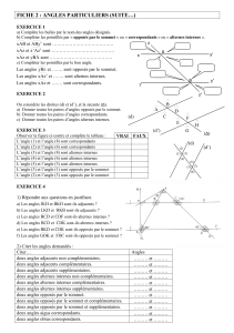 fiche 2 : angles particuliers (suite…)