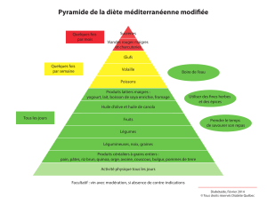 Pyramide de la diète méditerranéenne modifiée
