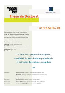 Carole ACHARD - Service Central d`Authentification Université de