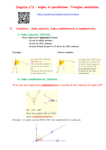 Chapitre n°3 : Angles et parallélisme. Triangles semblables.