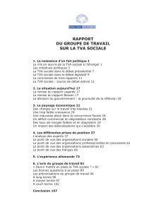 rapport du groupe de travail sur la tva sociale