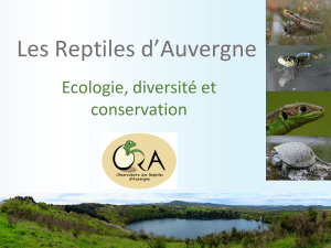 Les Reptiles d`Auvergne