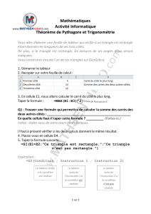 Mathématiques Activité Informatique Théorème de Pythagore et