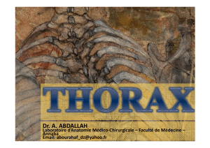 thorax- 2 année médecine.ppt [Mode de compatibilité]