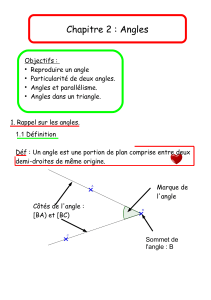 Chapitre 2 : Angles