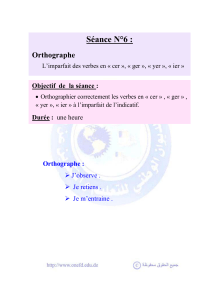 Séance n° 6 : orthographe.