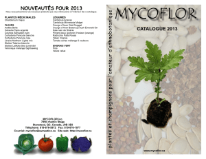 Catalogue Mycoflor 2015 pdf