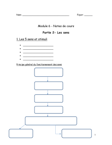 Module 6 - Notes de cours Partie 2- Les sens 1. Les 5 sens et stimuli