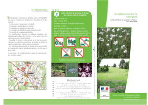 Les pelouses sèches de Champlitte - DREAL Franche