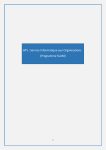 BTS : Service Informatique aux Organisations (Programme SLAM)