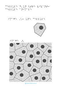 Cellule d`un être vivant: cellule animale image `2 image `1: une cellule