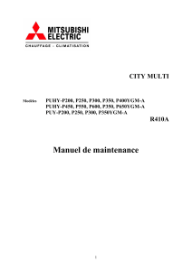 climatiseurs city multi