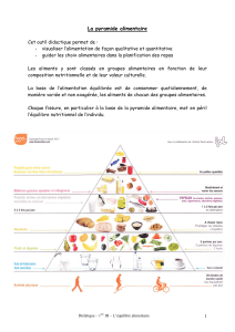 La pyramide alimentaire - section