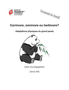 Carnivore, omnivore ou herbivore?