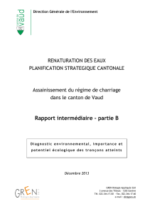 Rapport intermédiaire - partie B