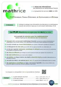 La PLM (Plateforme en Ligne pour les Maths) en 2014
