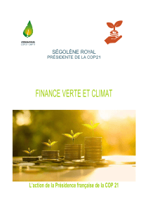 Finance verte et climat - Ministère de l`Environnement, de l`Énergie