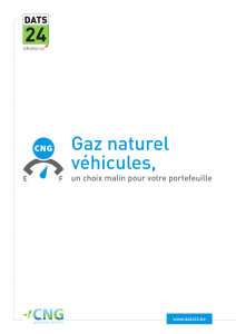 Gaz naturel véhicules
