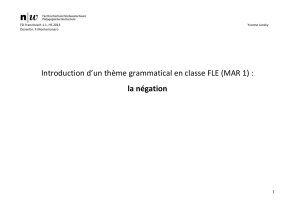 Introduction d`un thème grammatical en classe FLE (MAR 1) : la