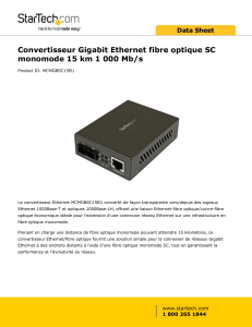 Convertisseur Gigabit Ethernet fibre optique SC monomode 15 km 1