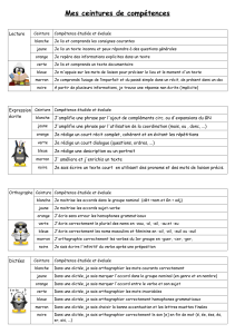 Mes ceintures de compétences