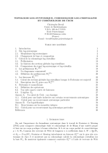 TOPOLOGIE LOG-SYNTOMIQUE, COHOMOLOGIE LOG