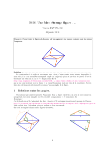 Solution Diophante-Pantaloni-D626