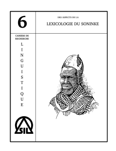 des aspects de la lexicologie du soninke