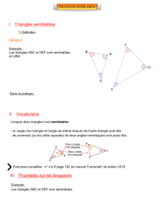 Cours triangles semblables version Eleves