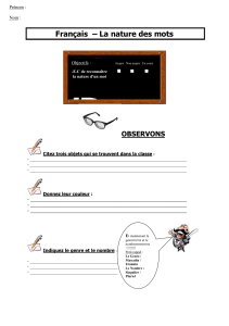 Français – La nature des mots