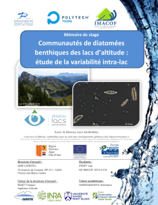 Communautés de diatomées benthiques des lacs d`altitude : étude