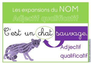 Les expansions du NOM Adjectif qualificatif