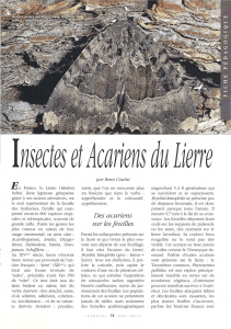 Insectes et acariens du lierre / Insectes n° 104