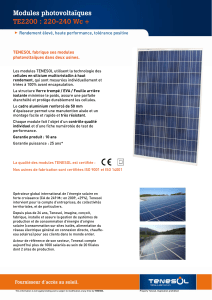 Modules photovoltaïques TE2200 : 220-240 Wc +