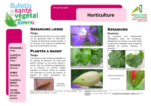 Horticulture - Envies de Jardin