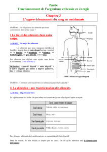cours digestion