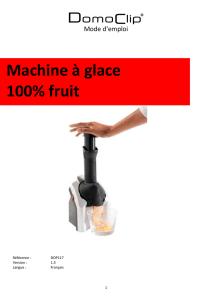 Machine à glace 100% fruit