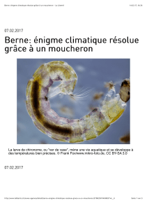 Berne: énigme climatique résolue grâce à un moucheron
