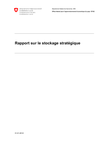 Rapport sur le stockage stratégique