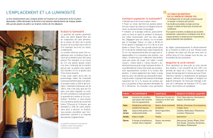 l`emplacement et la luminosité - Fichier