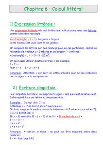 chapitre 6 : Calcul littéral