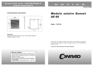 Module solaire Sunset AS 65