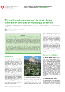 Thym citronné: comparaison de deux clones et définition du stade