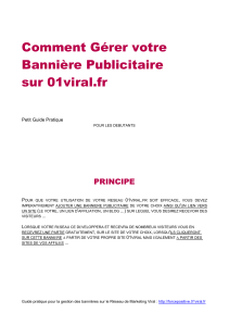Comment Gérer votre Bannière Publicitaire sur 01viral.fr