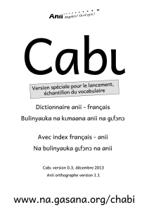 Dictionnaire anii – français