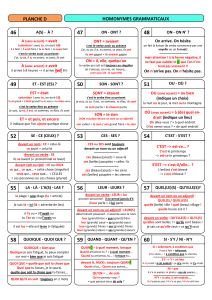 PLANCHE D : homonymes grammaticaux