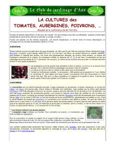 La culture des tomates